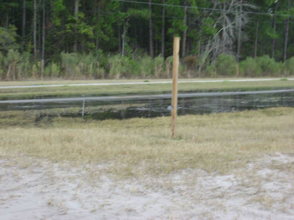 Muddy road with wooden post and trees in background. Supermotors.net logo