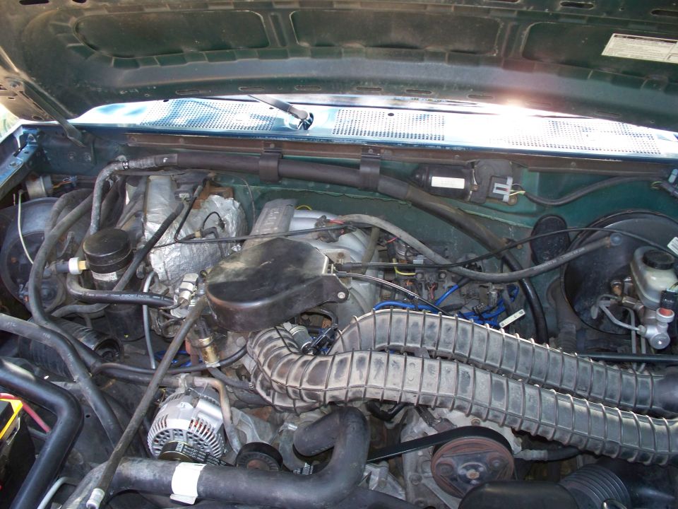 Green 1995 Ford Bronco engine bay, showing the V8 engine, air intake, alternator, and hoses