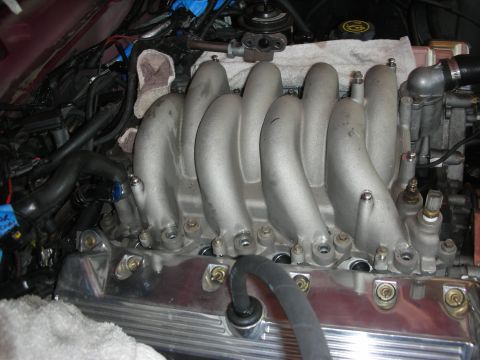 1992 Ford Crown Victoria - Engine intake manifold during a rebuild, likely for a Ford vehicle.