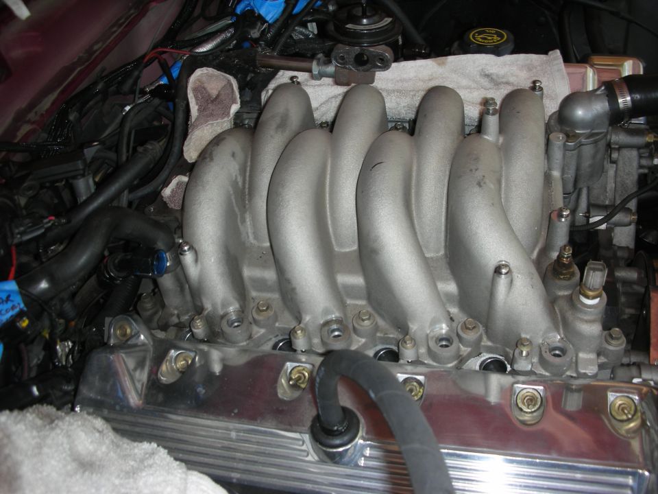 Close-up of an engine intake manifold with silver runners and chrome valve covers