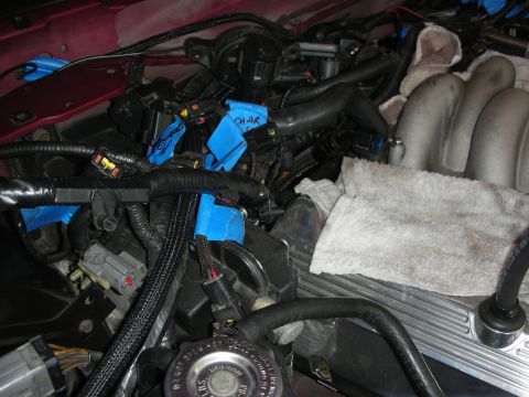 1992 Ford Crown Victoria - Close-up of engine bay wiring and intake manifold during a rebuild.