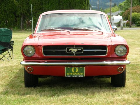 1965 Ford Mustang photo