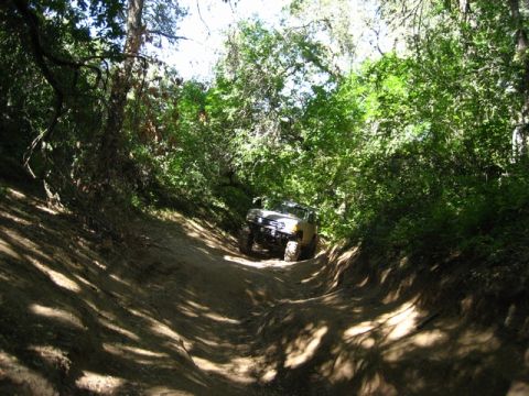1989 Ford Bronco - A tan SUV navigates a challenging off-road trail through a dense forest.