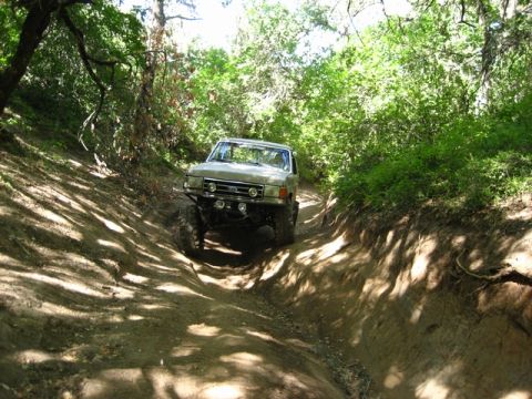1989 Ford Bronco - This 1987 Ford Bronco navigates a challenging off-road trail surrounded by dense foliage.