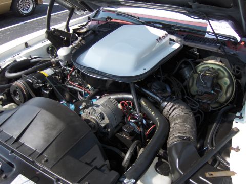 1977 Pontiac Trans Am - The engine bay of a 1977 Pontiac Trans Am is visible, a white shaker hood scoop with 'TA 6.6' lettering.