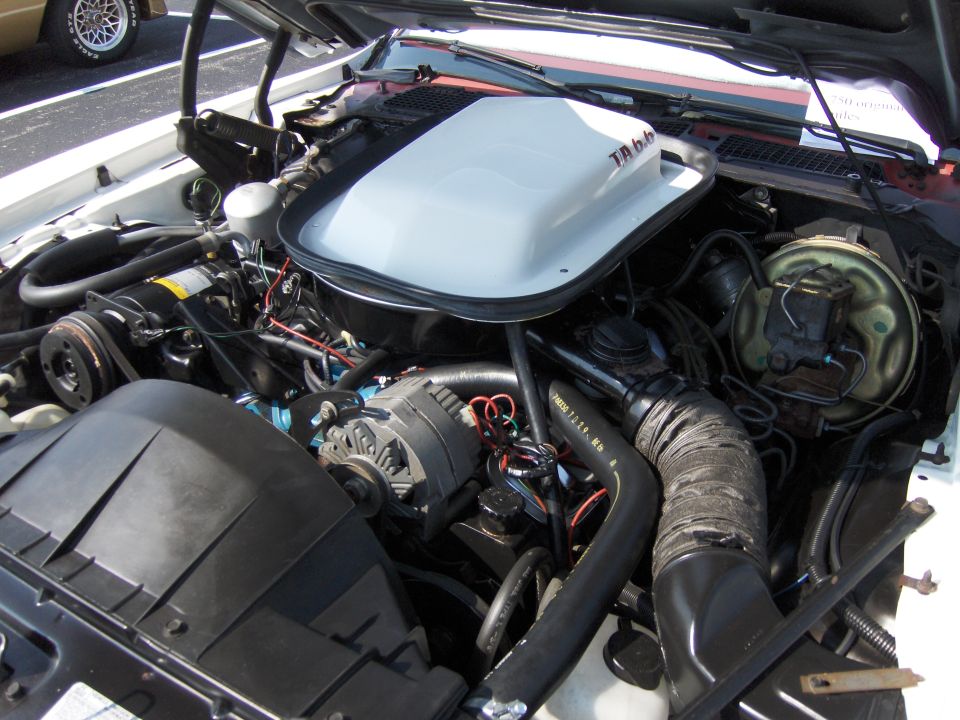 White shaker hood scoop with 'TA 6.6' visible, showing engine bay of a 1977 Pontiac Trans Am