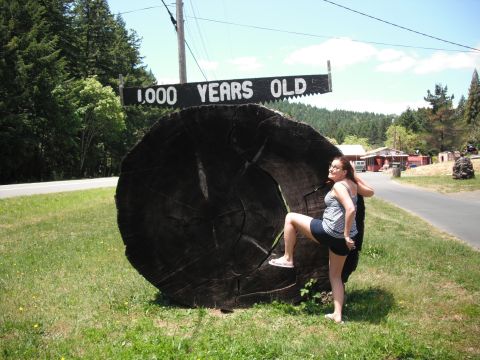1991 Ford Bronco - A woman poses next to a giant redwood log marked as 1,000 years old.