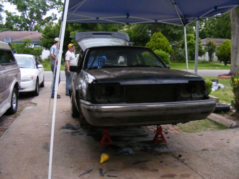 1989 Ford Escort - A dark-colored sedan is elevated on jack stands under a canopy, with its hood open and front grille missing.