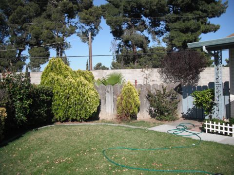 1991 Ford Bronco - A view of a backyard with a grassy lawn, a wooden fence, and various plants under a clear blue sky.