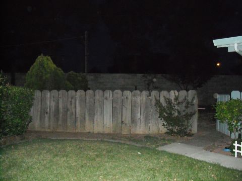 1991 Ford Bronco - A nighttime view of a backyard a wooden fence, grass, and some bushes.