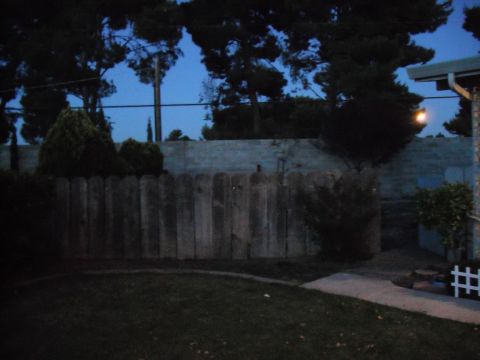 1991 Ford Bronco - A dimly lit backyard scene features a wooden fence and lush green grass under a twilight sky.
