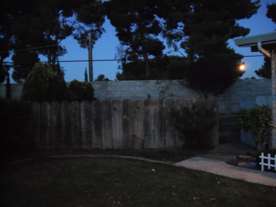 Backyard with wooden fence, grass, and trees under a dark blue sky