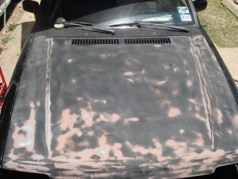1989 Ford Escort - The hood of a car shows significant wear, with primer exposed through the faded paint, and windshield wipers resting on the cowl.