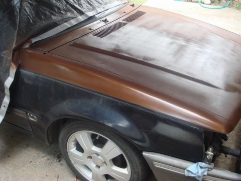 1989 Ford Escort - A car's hood and fender are visible, with one side covered by a tarp and the other showing a two-tone paint scheme.