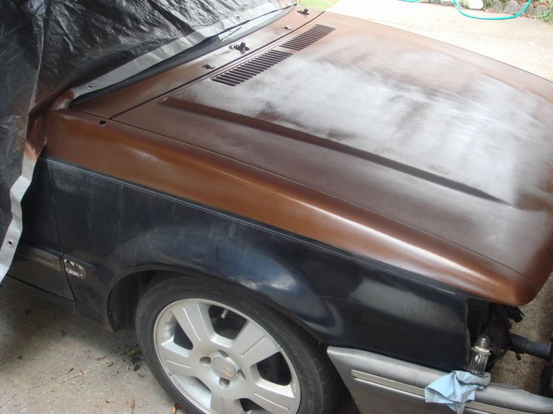 Car hood and fender, partially covered, with a two-tone paint job