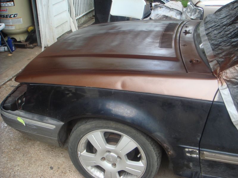 1989 Ford Escort hood and fender, primer and black paint, dent on hood
