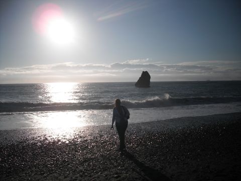 1991 Ford Bronco - A lone figure strolls along the shore as waves crash near a sea stack under a bright sun.