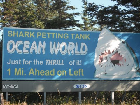 1991 Ford Bronco - A billboard advertises Ocean World's shark petting tank, promising a thrill just one mile ahead.
