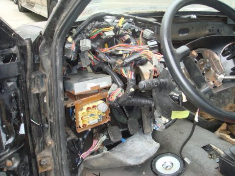 1989 Ford Escort photo