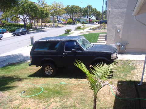 1992 Ford Bronco - A black SUV is parked in a residential driveway on a sunny day.