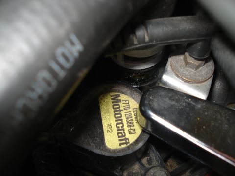 Heater hose - 2000 Ford Crown Victoria