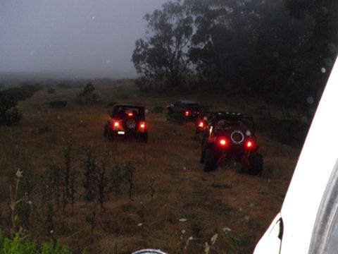 1991 Ford Bronco - A convoy of Jeeps navigates a grassy terrain as daylight fades.