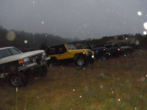 1991 Ford Bronco - A line of off-road vehicles, including a white and tan Ford Bronco, are parked on a hill in the rain.