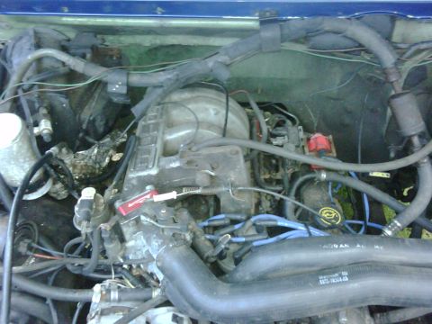1991 Ford Bronco - The engine bay shows a complex arrangement of hoses and wiring, with the engine block and intake manifold as the central focus.