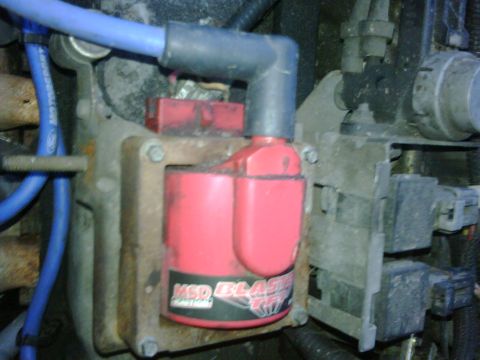 1991 Ford Bronco - Close-up of an MSD Blaster ignition coil with blue spark plug wires visible.