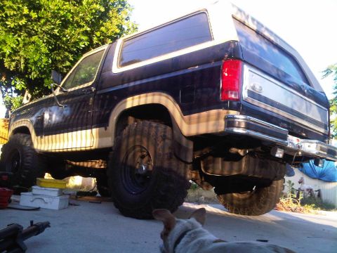 1986 Ford Bronco - This modified Ford Bronco sits high on oversized tires, suggesting off-road modifications.