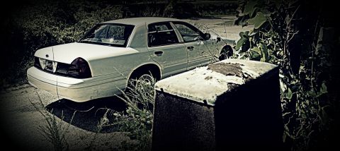 2002 Ford Crown Victoria - A white 2002 Ford Crown Victoria sedan is partially obscured by foliage and a concrete structure.