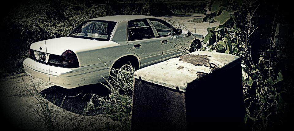 White 2002 Ford Crown Victoria sedan parked outdoors, rear quarter view, overgrown vegetation
