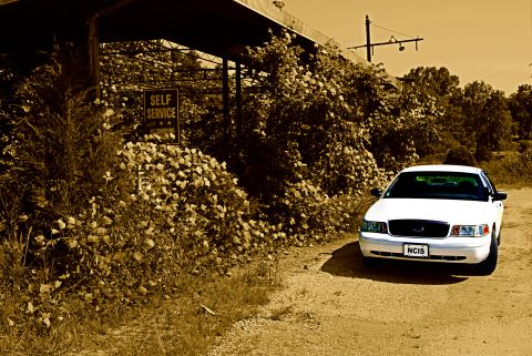 2002 Ford Crown Victoria - A white 2002 Ford Crown Victoria is parked on a dirt road next to a dense patch of foliage.