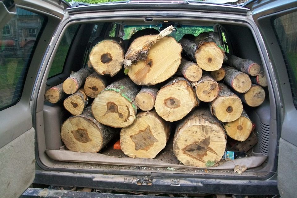 SUV interior packed with cut logs