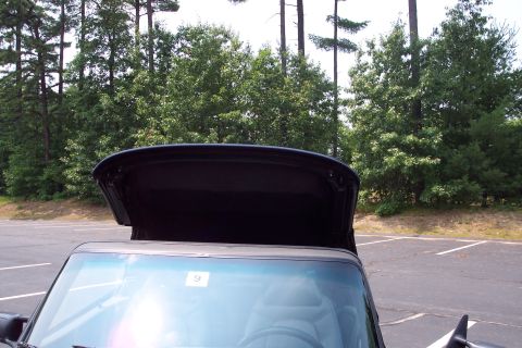 2001 Ford Crown Victoria - The trunk of a convertible is open, revealing the interior space, with trees and a parking lot visible.
