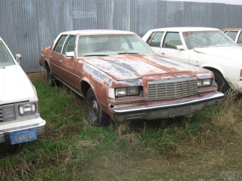 2001 Ford Crown Victoria - Two sedans sit in overgrown grass next to a corrugated metal fence.
