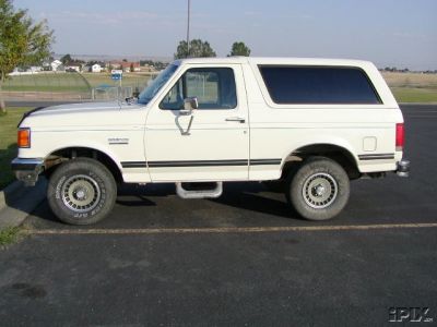 1990 Ford Bronco “The Beast”
