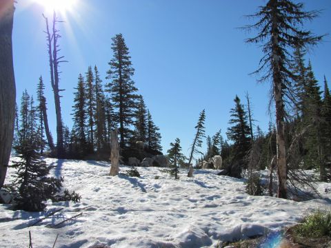 1974 Ford Ranchero - A herd of mountain goats navigates a snow-covered mountainside under a clear blue sky.