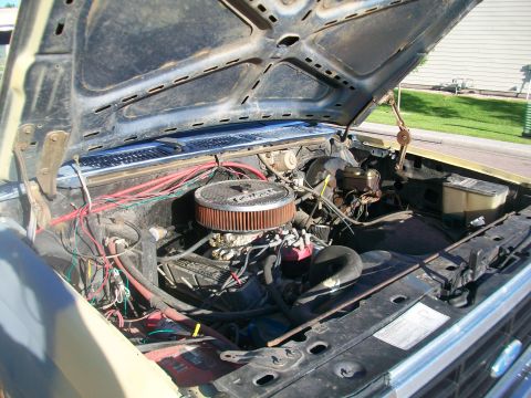 1986 Ford Bronco - The engine bay of a vehicle is shown with the hood open, revealing the engine components.