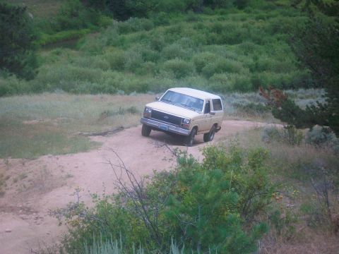 1986 Ford Bronco - A tan SUV navigates a dirt path through a grassy, overgrown area.