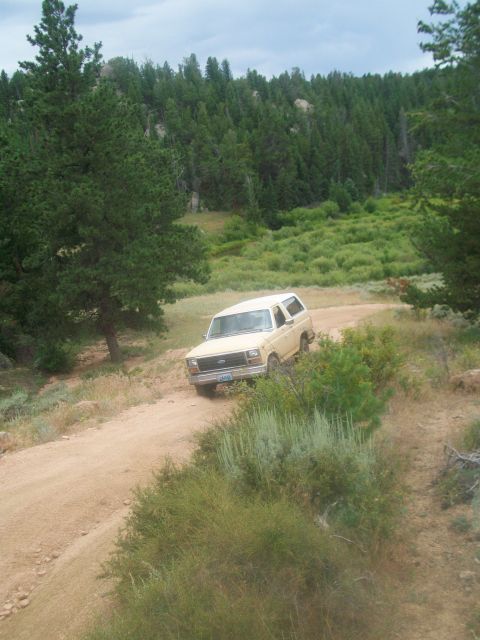 1986 Ford Bronco - A tan 1986 Ford Bronco navigates a dusty trail through a scenic, wooded landscape.