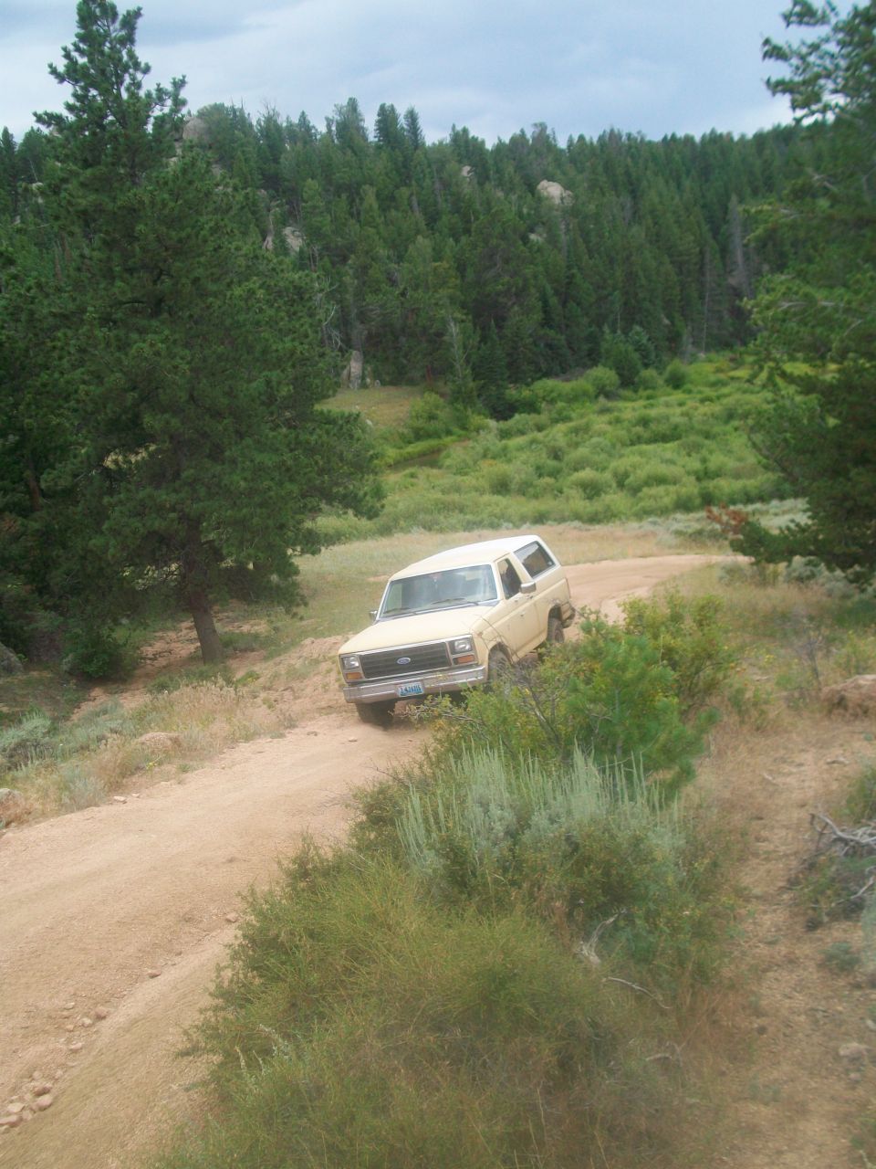 Tan 1986 Ford Bronco on a dirt road in a wooded area