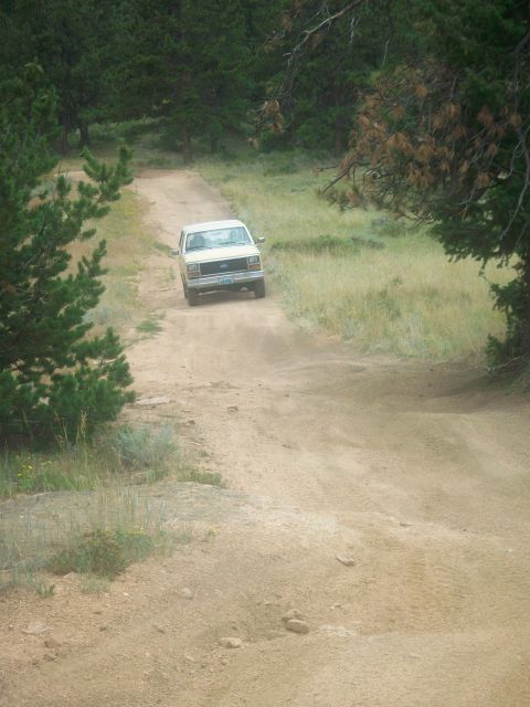 1986 Ford Bronco - A tan Ford Bronco drives down a dusty, unpaved road surrounded by trees and dry grass.
