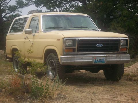 1986 Ford Bronco - This 1986 Ford Bronco is seen in a three-quarter front view, parked in a natural outdoor setting.