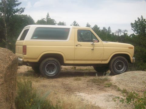 1986 Ford Bronco - This 1980s Ford Bronco is parked on a rocky, off-road trail with trees and sky visible.