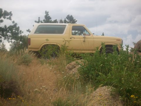 1986 Ford Bronco - This SUV is partially obscured by tall grass and bushes on a rocky incline.