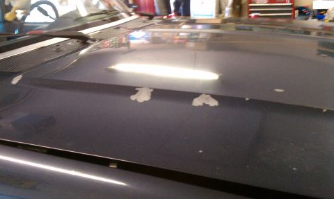 1992 Ford Bronco - Close-up of a dark blue vehicle hood showing areas where the paint is peeling off.