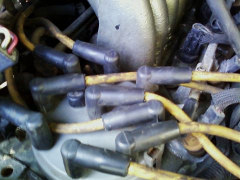 1990 Ford Bronco - Tight top-down close-up of a gray distributor cap in an engine bay with eight black rubber boots plugged into its towers. Yellow-tan spark…