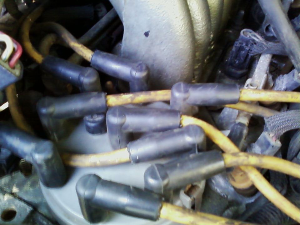 Gray distributor cap with black boots and yellow spark plug wires fanning out