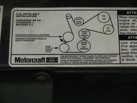 1983 Ford Bronco - Diagram shows the routing for a 5.0L engine drive belt, including tensioner, idler pulley, alternator, water pump, A/C, and crankshaft.